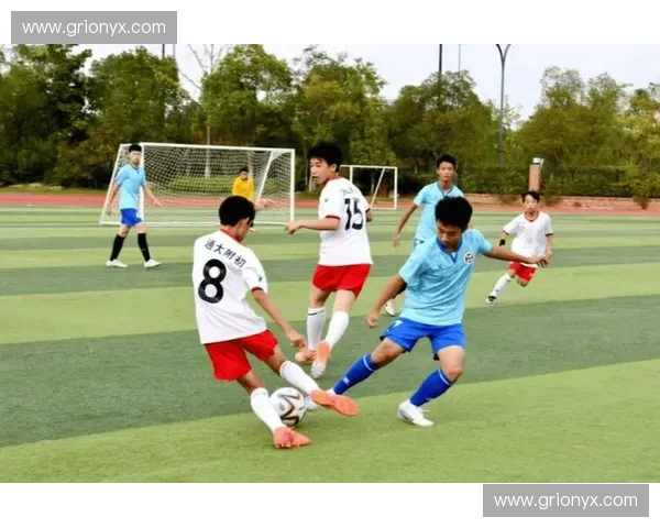 绿茵逐梦，青春无畏：世青赛南非与日本的绿茵对决，一场关于速度、智慧与荣耀的碰撞